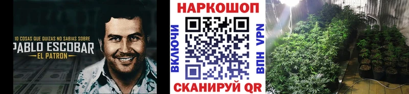 Где купить наркотики Купино А ПВП  Мефедрон  Вейп ТГК  ГАШ  Канабис  COCAIN 
