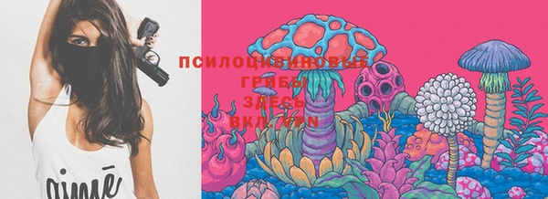 гидропоника Баксан