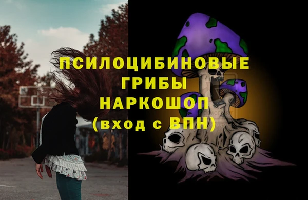 ешки Аркадак