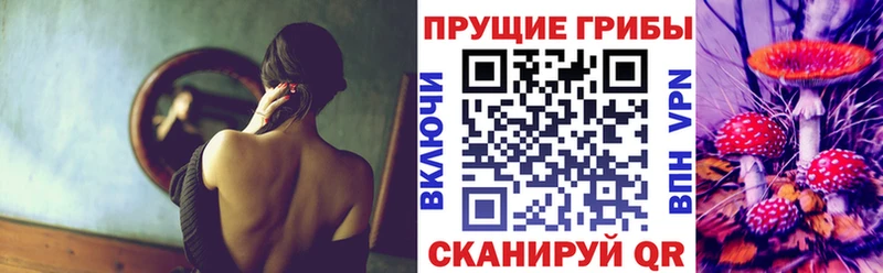 ОМГ ОМГ   как найти закладки  Купино  Псилоцибиновые грибы MAGIC MUSHROOMS 